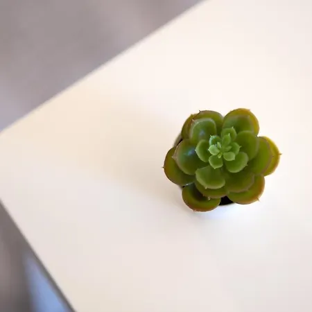 Aparthotel Terinikos Sunny Garden & Junior 2*