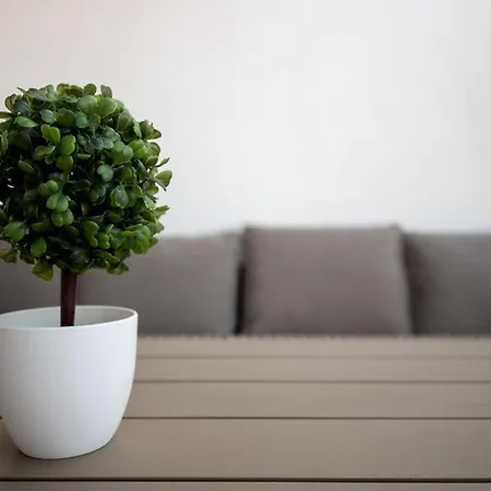 Terinikos Sunny Garden & Junior 2* Ιαλυσός Ρόδος