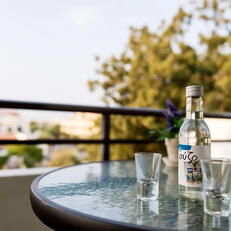 Terinikos Sunny Garden & Junior Aparthotel 2*