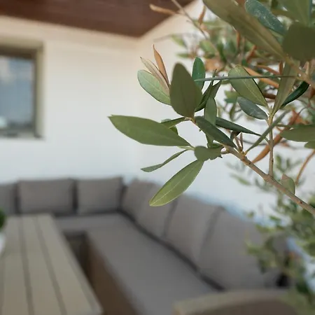 Terinikos Sunny Garden & Junior 2* Ialysos (Rhodes)