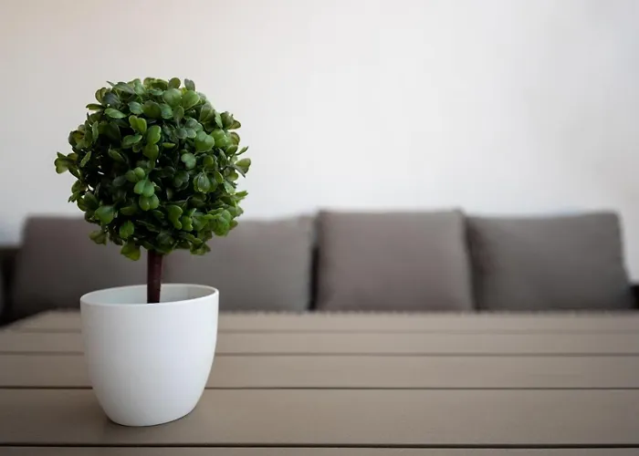 Terinikos Sunny Garden & Junior 2* Jalisos