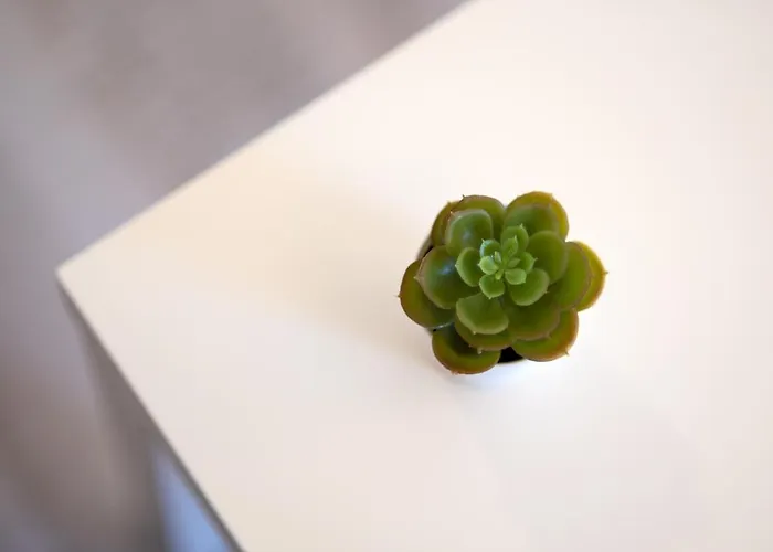 Hotel apartamentowy Terinikos Sunny Garden & Junior 2*