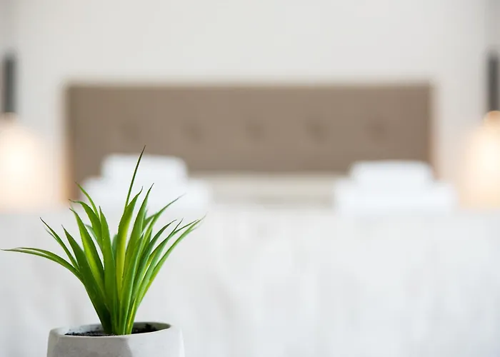 Terinikos Sunny Garden & Junior Jalisos