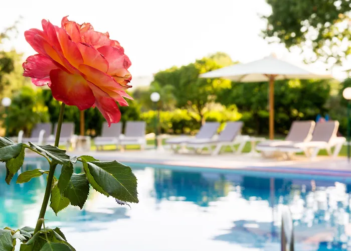 Terinikos Sunny Garden & Junior Hotel apartamentowy